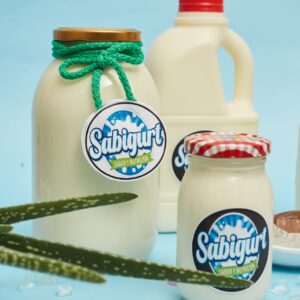 YOGURT NATURAL CON TROCITOS DE SABILA