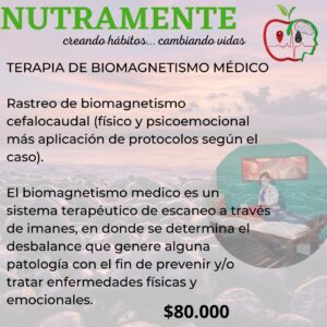 Terapia de Biomagnetismo médico